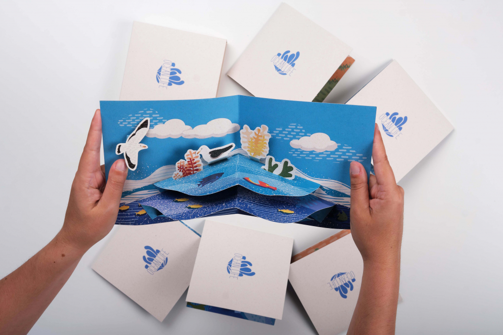 ocean life proyecto diseño grafico museo identidad visual pop up cards marina portfolio gaviotas