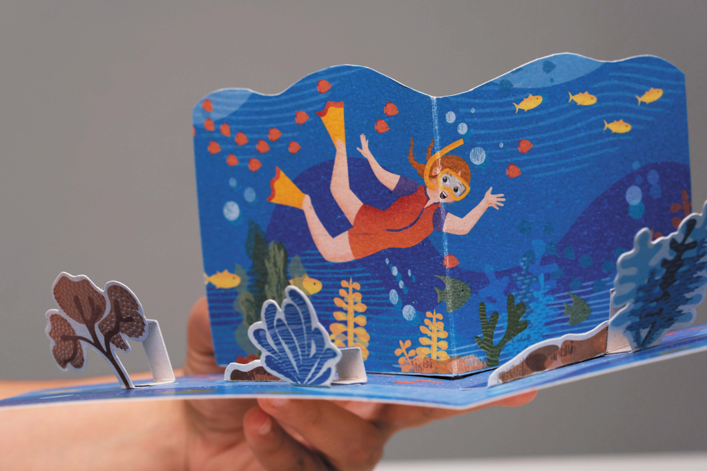 ocean life proyecto diseño grafico museo identidad visual pop up cards marina portfolio buceo