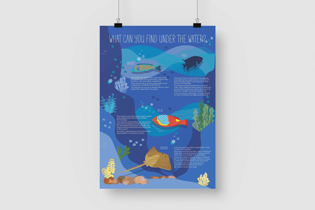 ocean life proyecto diseño grafico museo identidad visual pop up cards marina portfolio poster peces
