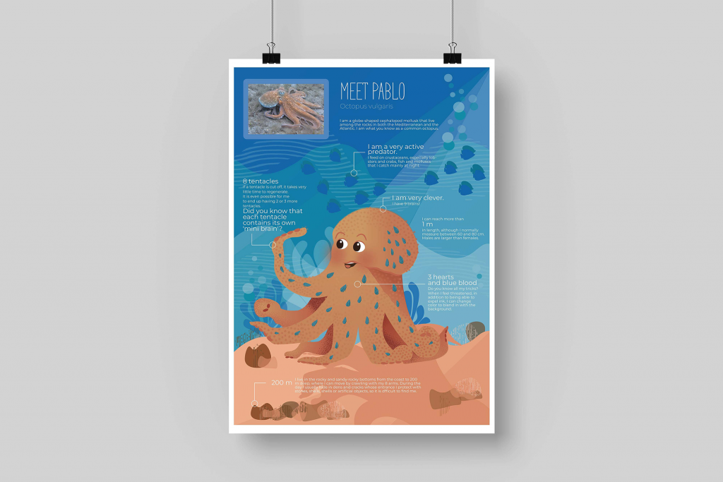 ocean life proyecto diseño grafico museo identidad visual pop up cards marina portfolio poster pulpo infografia