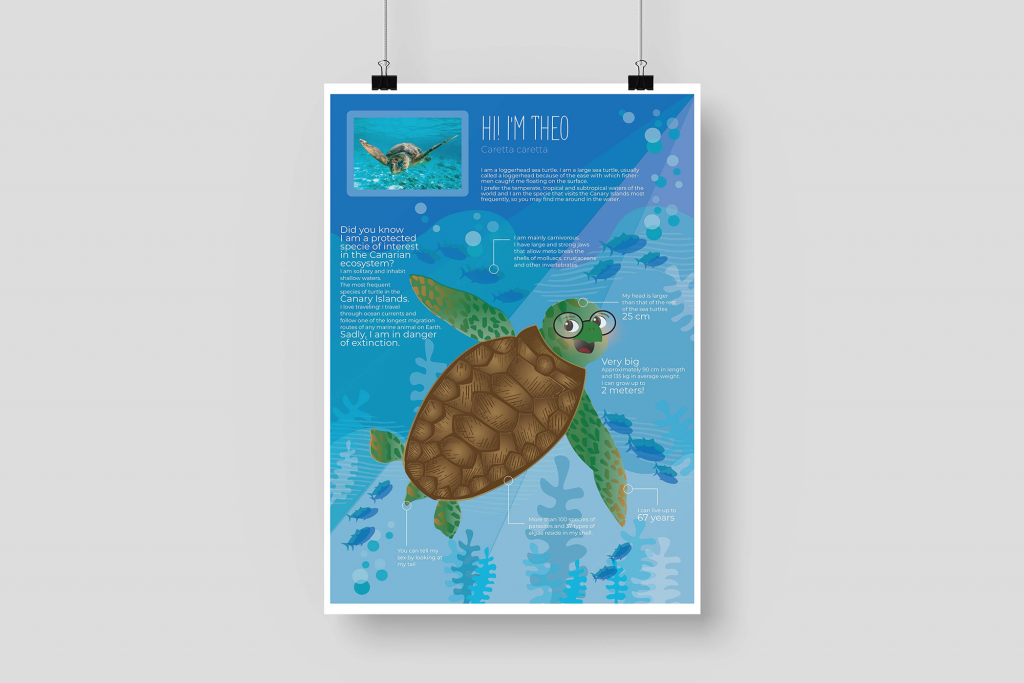 ocean life proyecto diseño grafico museo identidad visual pop up cards marina portfolio poster tortuga infografia
